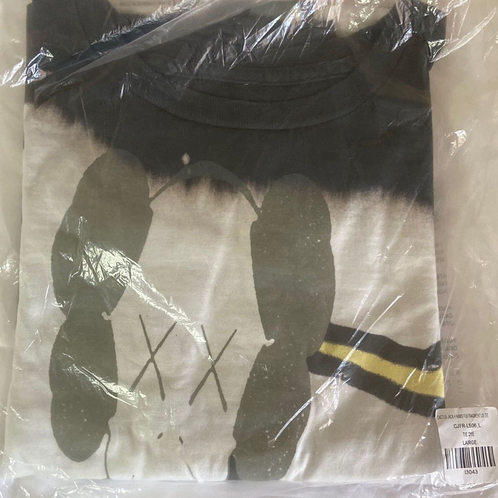 Cactus Jack x Kaws for Fragment tee